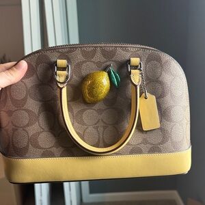 Brown and Yellow Coach Women's Bag